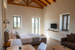 TV a/nebo společenská místnost v ubytování Olivar Suites