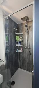 a shower in a bathroom with a glass shower stall at The Cwtch in Cardiff
