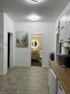 een keuken met witte muren en een keuken met een aanrecht bij Daniel Apartment in Năvodari
