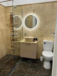 La salle de bains est pourvue de toilettes, d'un lavabo et d'une douche. dans l'établissement Daniel Apartment, à Năvodari