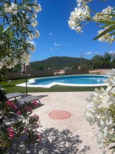 einen Pool in einem Garten mit Blumen in der Unterkunft Can Andre in Sant Jordi