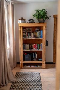 a book shelf with books and a potted plant on it at Apartamenty Sudeckie nad zalewem I in Sosnówka
