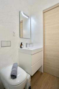 ein Badezimmer mit einem weißen WC und einem Waschbecken in der Unterkunft Rose des sables * front de mer* in Ploemeur