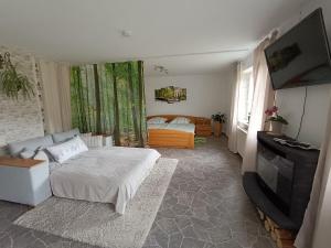 a living room with a bed and a television at Ferienwohnung, Sauna & Gästekarte gratis im Schwarzwald in Baiersbronn