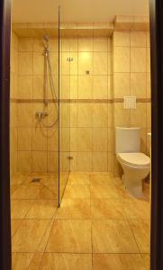een badkamer met een toilet en een glazen douche bij Floros Simfonija in Šventoji