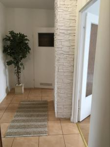 een kamer met een plant en een deur met een tapijt bij Apartament Szpitalna in Suwałki