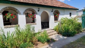 Zahrada ubytování EVA HOUSE
