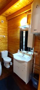 a bathroom with a white sink and a toilet at Złote Piaski Mielenko in Mielenko