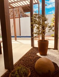 a plant in a pot sitting on a rug at Bangalô 39 in Tamandaré