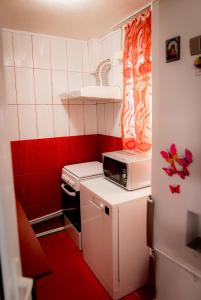 a small kitchen with a white stove and a microwave at Pescarul Deltei in Murighiol