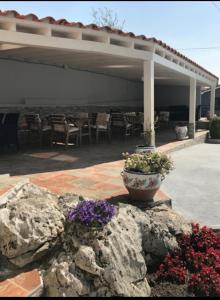 a patio with a large rock with flowers in a pot at Hotel Sebreñu in Sebreño