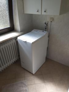 a small white refrigerator in a bathroom with a window at Ferienwohnung im Molsbachtal in Happurg