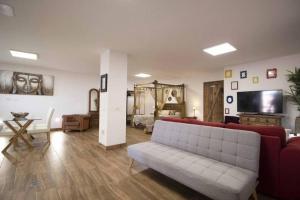 a living room with a couch and a television and a bed at Villa Canales in La Matanza de Acentejo