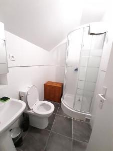 ein Bad mit einem WC, einer Dusche und einem Waschbecken in der Unterkunft Résidence du Houx - 6 (Astérix, Aéroport CDG...) in Survilliers