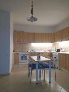Kuchyň nebo kuchyňský kout v ubytování Asimina's beach house