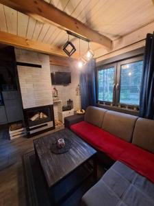ein Wohnzimmer mit einem Sofa, einem Tisch und einem Kamin in der Unterkunft Biały Domek in Żary