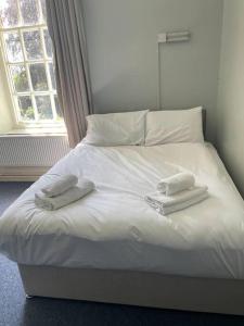Un pat sau paturi într-o cameră la Marle Hall - Dorm Rooms (Blue)