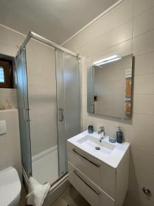 a bathroom with a sink and a shower at Apartments Krnjic in Umag