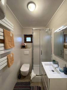 a bathroom with a shower and a toilet and a sink at Apartments Krnjic in Umag
