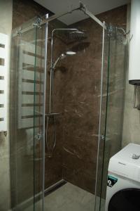 een douche met een glazen deur in de badkamer bij New Aesthetic Haven Hedonica 6 Apartment in Vrdnik in Vrdnik
