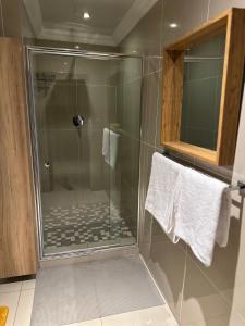 a shower with a glass door in a bathroom at Silverton Private Apartment in Pretoria