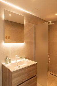 La salle de bains est pourvue d'un lavabo, d'un miroir et d'une douche. dans l'établissement De Gulle Beemden, à Hulshout