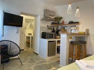 a small kitchen with a counter and a microwave at Dryopis Studio in Dhriopís