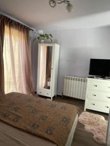 1 dormitorio con cama, tocador y espejo en Garsoniera la casa en Timisoara