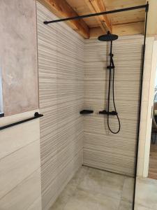 a shower with a shower head in a room at la maisonnette in Saignelégier +8 photos