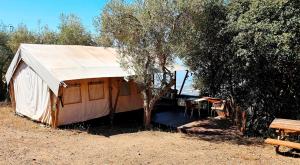 a large tent with a table and a tree at Campo Agave Luxury Tents in Sayalonga