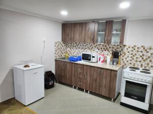 Kuchyň nebo kuchyňský kout v ubytování Apartman DUNJA
