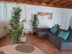 Posezení v ubytování Estudio Lotus by Smartclickvillas