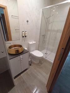 een badkamer met een wastafel, een toilet en een douche bij FAMILY APARTAMENT II in Coimbra