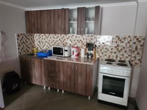 Kuchyň nebo kuchyňský kout v ubytování Apartman DUNJA