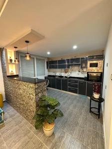 a large kitchen with black cabinets and a plant at Kahina loft in Bejaïa