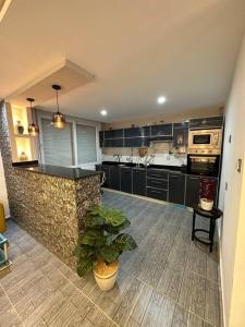 a large kitchen with a counter and a plant in it at Kahina loft in Bejaïa