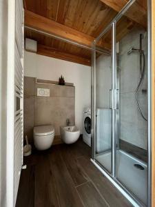 y baño con aseo, lavabo y ducha. en Il nido al Maso Maoro, en Sant’Orsola