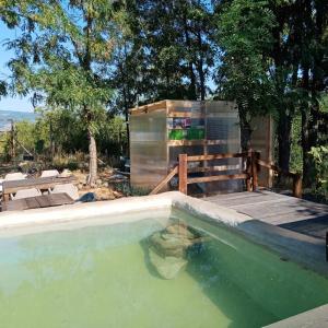 una piscina de agua en un patio con una casa en BorgoGuerzano77, en Camugnano
