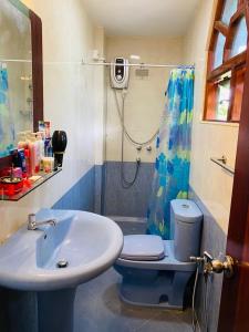 La salle de bains est pourvue d'un lavabo, de toilettes et d'une douche. dans l'établissement ANTONIO TRANSIT KATUNAYAKE, à Katunayake