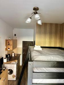 a bedroom with a bed and a washer and dryer at Ada's Luxury Apartament&Studio - Old City in Braşov