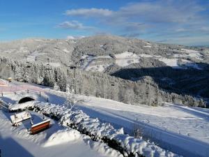 Alpengasthof Fernblick kapag winter