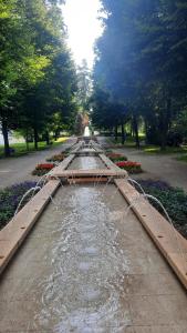 Zahrada ubytování Ferienwohnung Am Kurpark
