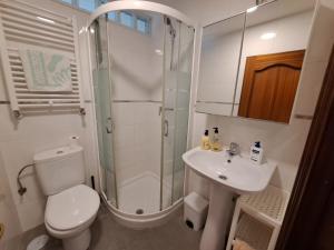 A bathroom at Oviedo city center - garaje incluido