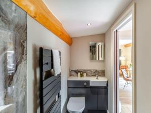 a bathroom with a toilet and a sink at Fioled - Uk40267 in Llangadfan