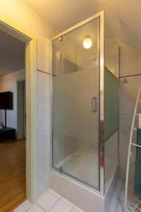 雅萊的住宿－L'Ermitage，浴室里设有玻璃门淋浴