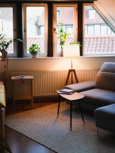 ein Wohnzimmer mit einem Sofa und einem Tisch in der Unterkunft Gemütliche Oase in Detmolder City in Detmold