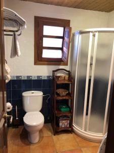 łazienka z toaletą i prysznicem w obiekcie Apartamentos Rurales CASONA DE LOLO w mieście Caunedo