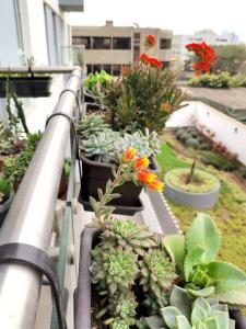 a bunch of potted plants on a balcony at departamento encantador céntrico con balcon in Lima