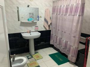 La salle de bains est pourvue d'un lavabo, de toilettes et d'une douche. dans l'établissement Comfort & Relax at Maadi, au Caire