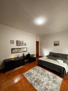 Schlafzimmer mit einem Bett, einem Schreibtisch und einem Teppich in der Unterkunft Arena Maroncelli Rooms in Verona